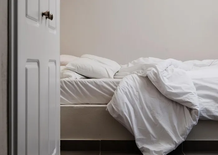 乐基纳马累酒店-仅限成人入住 4*